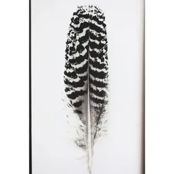 Chic Antique Bild mit Federnmotiv und schwarzem Rahmen, Motiv 3