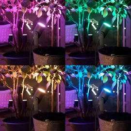 Philips Hue White and Color Ambiance Lily Starter Kit 3 St. 17414/30/P7