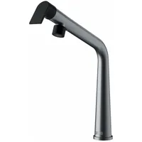 Armatur Hochdruck Franke Edelstahl Optik Schwenkauslauf 115.0625.186