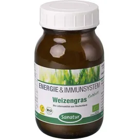 Sanatur Weizengras Pulver 90 g