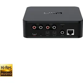 wiim Pro High Res Streamer