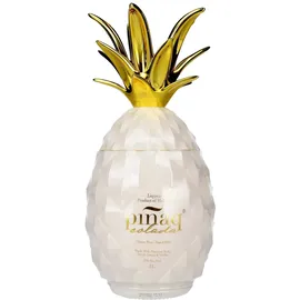 Piñaq COLADA 17% Vol. 1 l