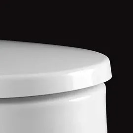 Pressalit Delight WC-Sitz Absenkautomatik Weiß