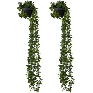 Relaxdays künstliche Hängepflanzen im 2er Set, hängende Kunstpflanzen im Topf, Kunsteukalyptus wie echt, grün/schwarz