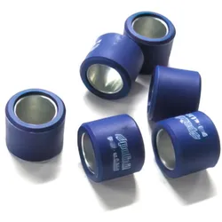 Variogewichte (x6) Polini 20x14,5mm - 11,9g