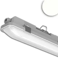 ISOLED Isoled, Wandleuchte + Deckenleuchte, LED Feuchtwannenleuchte SL 150cm,