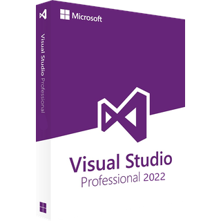 Microsoft Visual Studio Professional 2022 (PC)