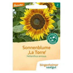 Bingenheimer Saatgut Sonnenblume La Torre