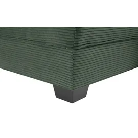 Uno Eckcouch 318 cm 2-Sitzer Grün