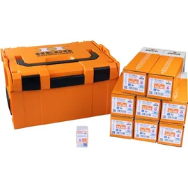 HECO Schrauben Heco Sortimentskoffer L-boxx 238 Tellerkopf Tg 1 Mit 400 Schrauben (8x180 + 8x200)