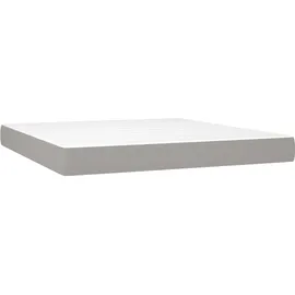 vidaXL Boxspringbett 160 x 200 cm Hellgrau