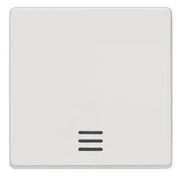 Siemens Wippe 5TG6200 mit Fenster titanweiss