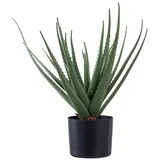 VCM ebuy24 Kunstbaum Aloe Vera Grün 31 x 31 cm | Gr.: onesize