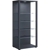 VCM Standvitrine Glasol 52 x 35 x 115 cm Schwarz