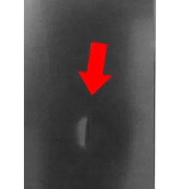 Samsung RL34C652CB1/EG Kühl-Gefrierkombination (341 l, 1850 mm hoch, Schwarz)