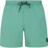 Protest Badeshorts Faster Frosty Green L