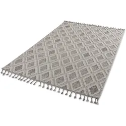 Teppich ASTRA "Trevi 6831 222", grau (hellgrau), B:160cm H:7mm L:230cm, Kunstfaser, Teppiche, In- und Outddor geeignet, Balkon, Aussenbereich
