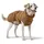 Hunter Paxson Hundemantel Braun 40 cm