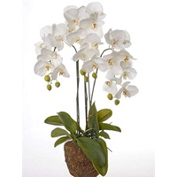 artplants.de Künstliche Phalaenopsis Orchidee SATRIA im Erdballen, weiß, 75cm - Kunstorchidee - Künstliche Blume