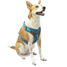 Kurgo Journey Air Hundegeschirr, Mit gepolstertem Brustteil und Rückgriff, Für Hunde von 23-34 kg, Größe L,