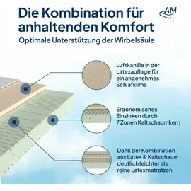 AM Qualitätsmatratzen - Latex-Matratze 100x200 H3 - Hochwertige Matratze mit 4cm Latex-Auflage | 20cm Höhe | Germany