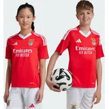 Adidas Benfica Lissabon 24/25 Kids Heimtrikot Benfica Red 176