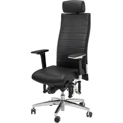 Haider Bioswing Bürodrehstuhl 670 IQ Leder mit Nackenstütze Sofort Lieferbar