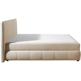 otto home Boxbett OTTO HOME "Hartley inkl. Bettkasten und Topper, auch in Überlänge erhältlich", beige, B:102cm L:210cm, Komplettbetten, wahlweise mit Bonnell- oder TTFK-Matratze in H2, H3 o. H4 erhältlich, Topseller