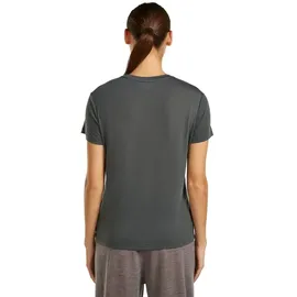 Icebreaker Merino Core Panax grau XL