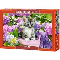 Castorland Kitten in Basket Puzzle 1500 Teile