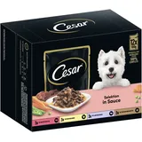 Cesar Selektion Fleisch und Gemüse in Sauce 12 x 100 g