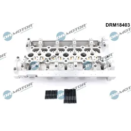 DR.MOTOR AUTOMOTIVE Zylinderkopf DRM18403
