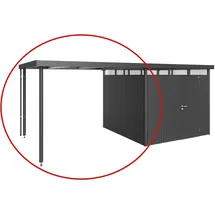 Biohort Seitendach zu HighLine H4 dunkelgrau
