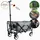 FASports Gardenio Bollerwagen grau