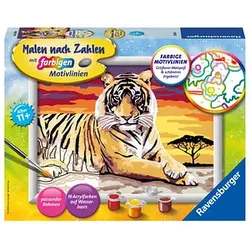 Ravensburger Malen-nach-Zahlen Majestätischer Tiger mehrfarbig