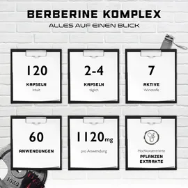 GEN GERMAN ELITE NUTRITION Berberin Komplex Kapseln 120 St.