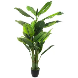 Atmosphera - Bananenpflanze, Höhe 170 cm