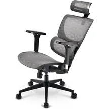 Sharkoon OfficePal C40M Grau