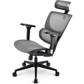 Sharkoon OfficePal C40M Grau