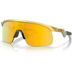 Oakley Resistor gold/prizm 24k (901008)