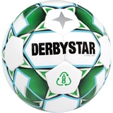 derbystar Planet APS v21, WEISS/SCHWARZ/GRÜN, 5
