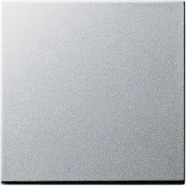 Gira Schalter 029626