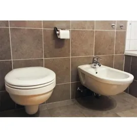 Celo Apolo Mea Mehrzweckdübel Mzk 6-41 Rudo Runddose (200stück) 9641expmzk