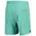 Scott Endurance LT Herren türkis S