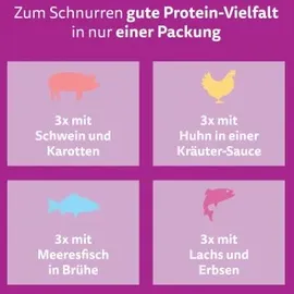Whiskas Gemischte Auswahl in Sauce 12 x 85 g