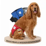 NATURE PET Premium Läufigkeitshose für Hündinnen – Hochwertige & Bequeme Hundewindeln für Hündinnen & Rüden – Waschbare Inkontinenz-Hundewindel ohne Einfädeln der Rute – S-L/Rot