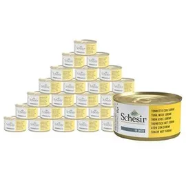 Schesir Jelly Adult 24 x 85 g