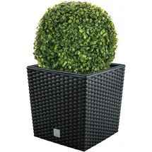 well home mobiliario & decoración Blumentopf Rato 32 Liter mit Pflanzkübel in Anthrazit 32 x 32 x 32,5 cm + Buchsbaumkugel Ø 27 cm