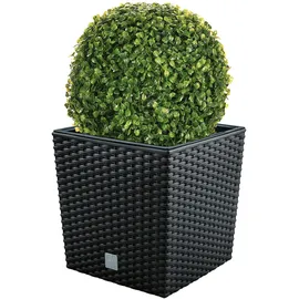 well home mobiliario & decoración Blumentopf Rato 32 Liter mit Pflanzkübel in Anthrazit 32 x 32 x 32,5 cm + Buchsbaumkugel Ø 27 cm
