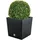 well home mobiliario & decoración Blumentopf Rato 32 Liter mit Pflanzkübel in Anthrazit 32 x 32 x 32,5 cm + Buchsbaumkugel Ø 27 cm